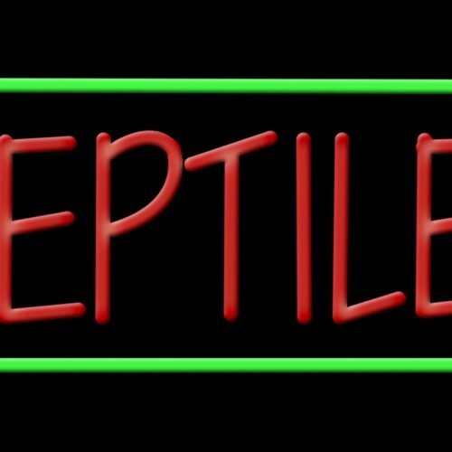 image of 11469 reptiles with green border led bulb sign