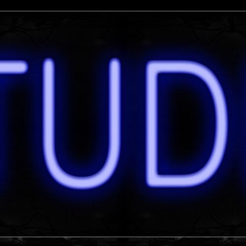 Image of 12162 Studio Neon Signs_10x24 Black Backing