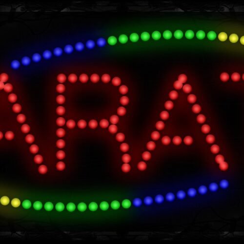 Colorful Karate LED Bulb